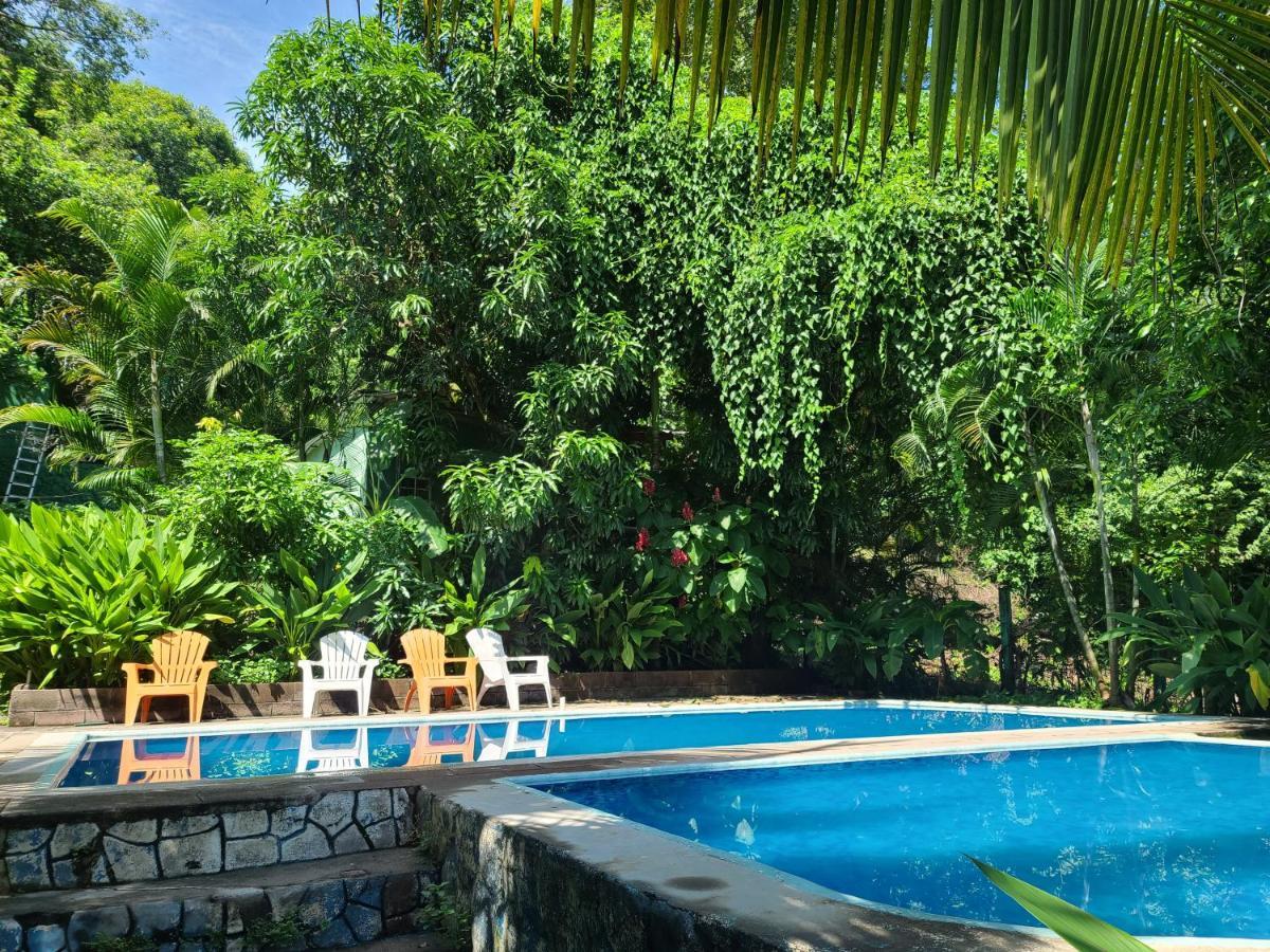 Hostel Hammock Plantation El Zonte Exteriér fotografie